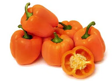 pimentao laranja 10 sementes 2 2 e1496340100312