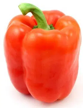 pimentao laranja 10 sementes 2 4 e1496340155605