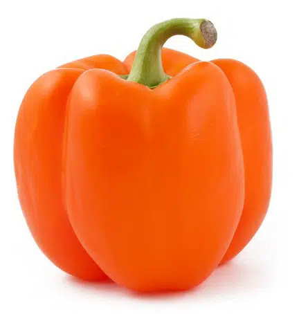 pimentao laranja 10 sementes 2 6 e1496339996312