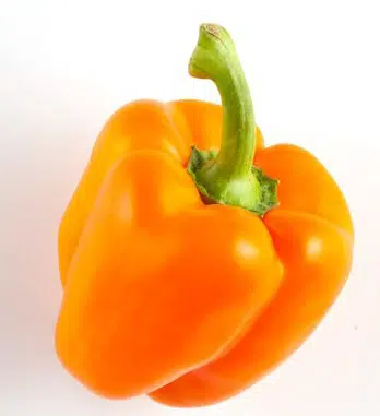 pimentao laranja 10 sementes 2 7 e1496340344989