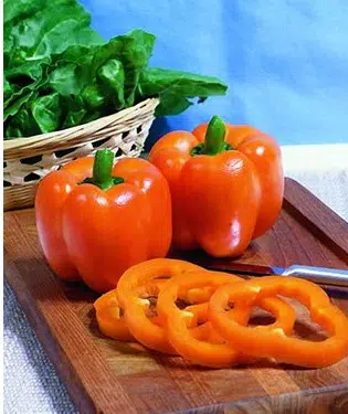 pimentao laranja 10 sementes 2 8 e1496340181280