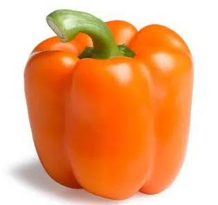 pimentao laranja 10 sementes 2 e1496340073525