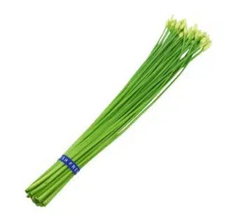 cebolinha chinesa nira 20 sementes 2 9 e1496366439702
