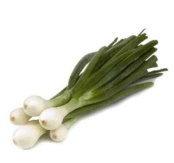 cebolinha para conserva 20 sementes 2 10 e1496345757436