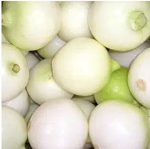 cebolinha para conserva 20 sementes 2 e1494730142862