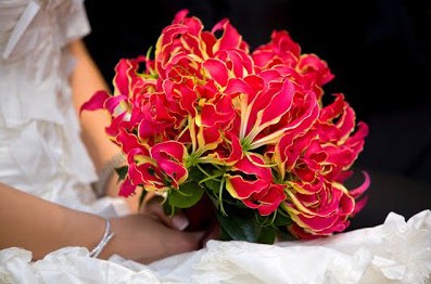 comprar bulbo de flor gloriosa 2 3 e1496368627125