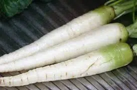 comprar sementes cenoura branca lunar 2 2 e1496345939715