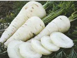 comprar sementes cenoura branca lunar 2 5 e1496345862989