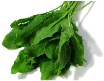 comprar sementes de azedinha planta 2 11 e1496365692258