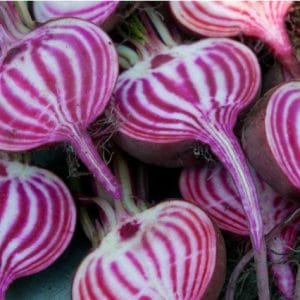 comprar sementes de beterraba listrada chioggia 15 sementes 2 3 e1496368496688