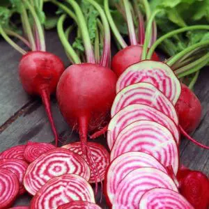 comprar sementes de beterraba listrada chioggia 15 sementes 2 6 e1496368337897