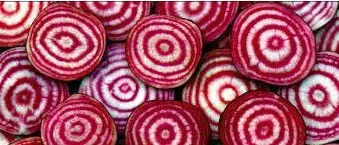 comprar sementes de beterraba listrada chioggia 15 sementes 2 9 e1496368247658