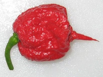 comprar sementes de carolina reaper pimenta mais forte do mundo www sementerara com br 2 9 e1494730222928