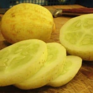 comprar sementes pepino limao lemon 2 8 e1496355522324