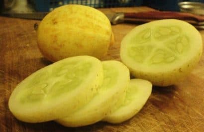 comprar sementes pepino limao lemon 2 8 e1496355522324