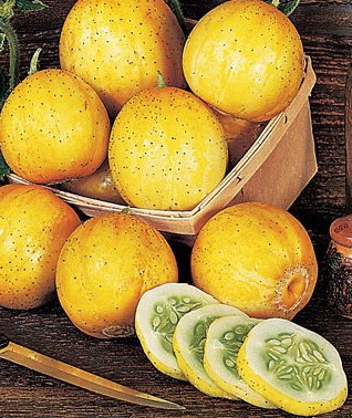 Comprar Sementes Pepino Limão (Lemon)