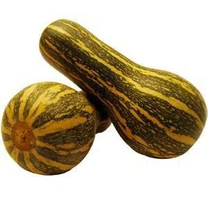 compra de sementes abobora paulista 2 6 e1496362318889