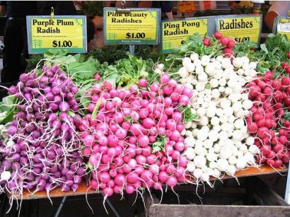 comprar sementes de rabanete branco 2 6 e1496364299484