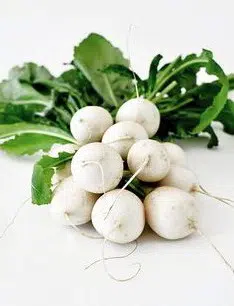 comprar sementes de rabanete branco 2 e1496364400201