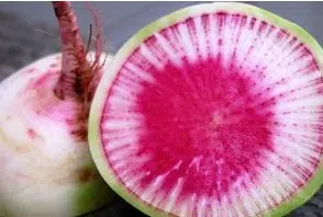 comprar sementes de rabanete melancia 2 11 e1496363695711