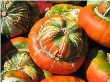 sementes de abobora turbante turca abobora chapeu mexicano 2 10 e1496327819173