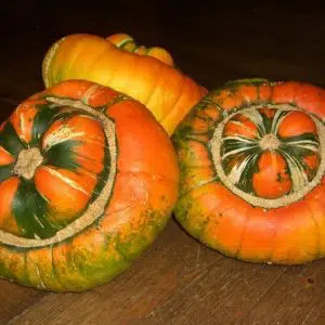 sementes de abobora turbante turca abobora chapeu mexicano 2 5 e1496343401413