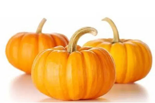 abobora mini jack organico 7 sementes 2 8 e1495990830361