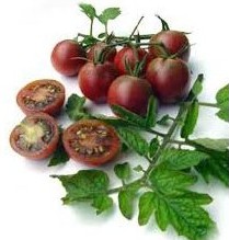 comprar sementes organicas de tomate black cherry 2 10 e1495314066733