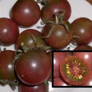 comprar sementes organicas de tomate black cherry 2 19 e1495137370164