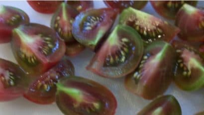 comprar sementes organicas de tomate black cherry 2 21 e1495137338738