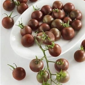 comprar sementes organicas de tomate black cherry 2 8 e1495137623562