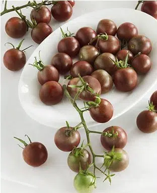 comprar sementes organicas de tomate black cherry 2 8 e1495137623562