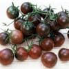 sementes organicas de tomate black cherry 5787 e1495314120978