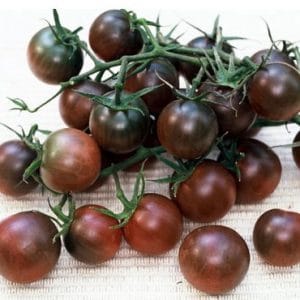sementes organicas de tomate black cherry 5787 e1495314120978