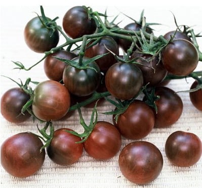 sementes organicas de tomate black cherry 5787 e1495314120978