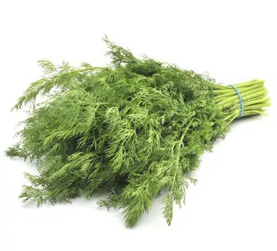 comprar sementes organicas de endro aneto 2 6 e1495114055305