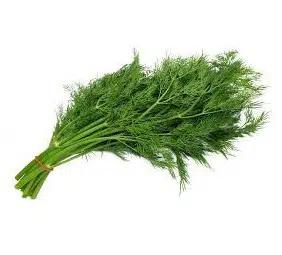 comprar sementes organicas de endro aneto 2 9 e1495113990342