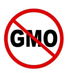 comprar sementes organicas de endro aneto 2 e1495127429954