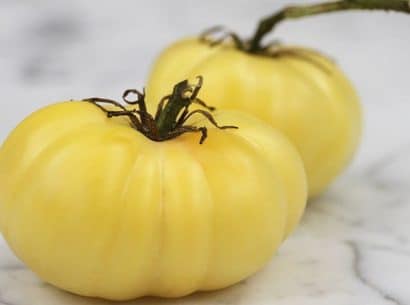 Comprar Sementes Orgânicas de Tomate Great White Beefsteak