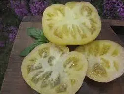comprar sementes organicas de tomate great white beefsteak 2 3 e1495113707515