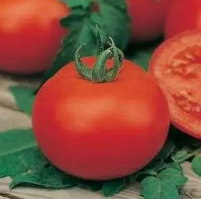 comprar sementes organicas tomate moneymaker 2 10 e1495131160928