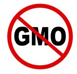 comprar sementes organicas tomate moneymaker 2 2 e1495132447693