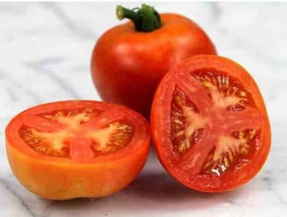 Comprar Sementes Orgânicas Tomate Moneymaker