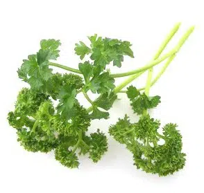 sementes de salsa crespa tempero 2 10 e1495137046425