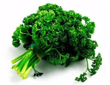 sementes de salsa crespa tempero 2 7 e1495137116602