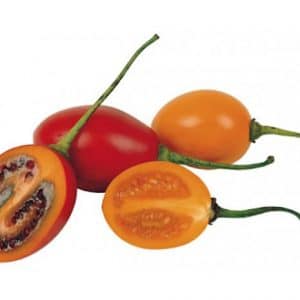 sementes de tamarillo tomate de arvore 2 10 e1494882250239