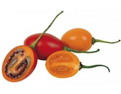 sementes de tamarillo tomate de arvore 2 10 e1494882250239