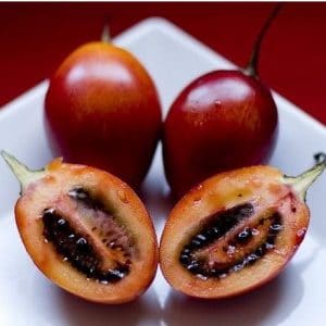 sementes de tamarillo tomate de arvore 2 11 e1494882209207