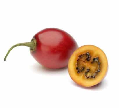 sementes de tamarillo tomate de arvore 2 15 e1494881786727