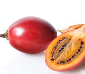 sementes de tamarillo tomate de arvore 2 17 e1494881722392